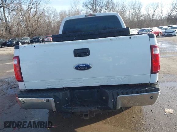 2009 Ford Super Duty F-250 SRW XL with VIN 1FTNX20579EB12691, listed as a IAAI auction lot 41646551 with 131,122 mi miles. Bid and sale history available at carsss.com. Image 17.