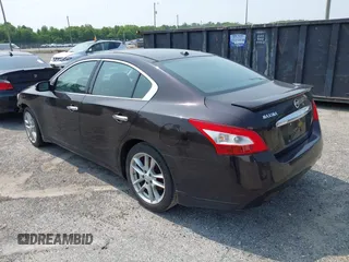 2010 Nissan Maxima SV with VIN 1N4AA5AP1AC872882, listed as a IAAI auction lot 42436283 with Not provided miles and . Bid and sale history available at DreamBid. Image 3.