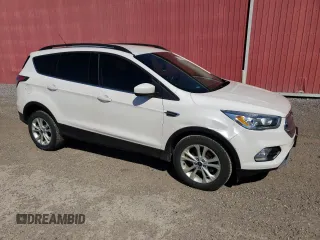 2017 Ford Escape SE with VIN 1FMCU0GD9HUA55234, listed as a Copart auction lot 54173385 with 216,896 mi miles and Clean Title. Bid and sale history available at DreamBid. Image 4.