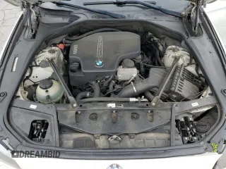 2013 BMW 5 Series 528i with VIN WBAXG5C51DDY31047, listed as a Copart auction lot 52284695 with 188,326 mi miles and Salvage Title. Bid and sale history available at DreamBid. Image 11.