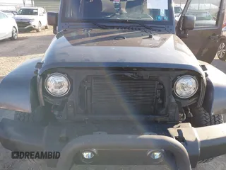 2017 Jeep Wrangler Unlimited Sahara with VIN 1C4BJWEG9HL507908, listed as a IAAI auction lot 41880209 with 99,773 mi miles. Bid and sale history available at carsss.com. Image 6.