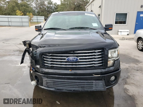 2010 Ford F-150 with VIN 1FTEW1CV0AFB54367, listed as a Copart auction lot 78797254 with 220,357 mi miles and Salvage title. Bid and sale history available at DreamBid. Image 5.
