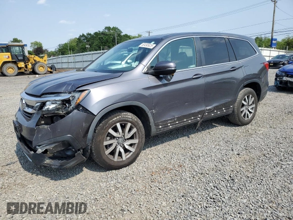 2019 Honda Pilot EX-L with VIN 5FNYF6H54KB052448, listed as a Copart auction lot 60498925 with 146,113 mi miles and Salvage title. Bid and sale history available at DreamBid. Image 1.