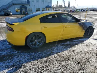 2017 Dodge Charger R/T with VIN 2C3CDXCT7HH623143, listed as a Copart auction lot 50664215 with Not Provided miles and Non Repairable. Bid and sale history available at DreamBid. Image 3.