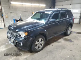 2009 Ford Escape Limited z VIN 1FMCU94769KA15015, wystawiony jako Copart lot #44772955 z przebiegiem 41 419 mil mil oraz Szkoda całkowita • Salvage title. Historia ofert i sprzedaży dostępna na DreamBid. Obrazek 1.