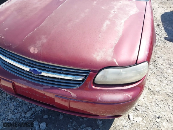 2002 Chevrolet Malibu LS with VIN 1G1NE52J12M621357, listed as a IAAI auction lot 41883300 with 193,803 mi miles. Bid and sale history available at carsss.com. Image 6.