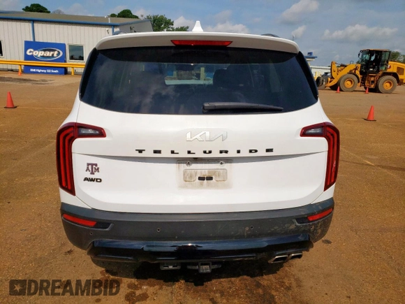 2022 Kia Telluride EX z VIN 5XYP3DHC1NG318982, wystawiony jako Copart lot #59152325 z przebiegiem 62 688 mil mil oraz Szkoda całkowita • Salvage title. Historia ofert i sprzedaży dostępna na DreamBid. Obrazek 6.