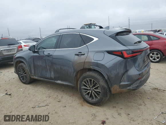 2022 Lexus NX with VIN JTJAGCEZ6N5003825, listed as a Copart auction lot 43038805 with 6,687 mi miles and Salvage Title. Bid and sale history available at carsss.com. Image 2.