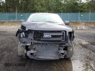 2013 Ford F-150 XL with VIN 1FTMF1EF1DKF32841, listed as a Copart auction lot 43436565 with 64,986 mi miles and Salvage Title. Bid and sale history available at DreamBid. Image 5.