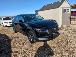 2020 Mazda CX-30 with VIN 3MVDMBBLXLM117867, listed as a Copart auction lot 46646295 with 31,383 mi miles and Salvage Title. Bid and sale history available at DreamBid. Image 13.