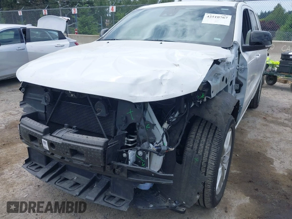 2024 Dodge Durango GT Plus with VIN 1C4RDJDG0RC213096, listed as a IAAI auction lot 42510767 with 18,781 mi miles and . Bid and sale history available at DreamBid. Image 6.