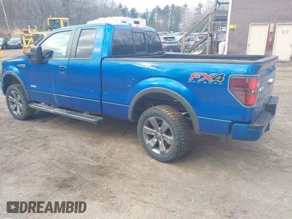 2013 Ford F-150 XL with VIN 1FTFX1ET9DFA33841, listed as a IAAI auction lot 41870005 with 137,911 mi miles and . Bid and sale history available at DreamBid. Image 3.
