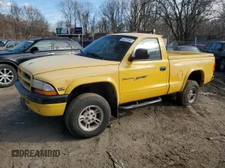 1999 Dodge Dakota with VIN 1B7GG26X4XS136110, listed as a Copart auction lot 46273105 with Not Provided miles and Salvage Title. Bid and sale history available at carsss.com. Image 1.