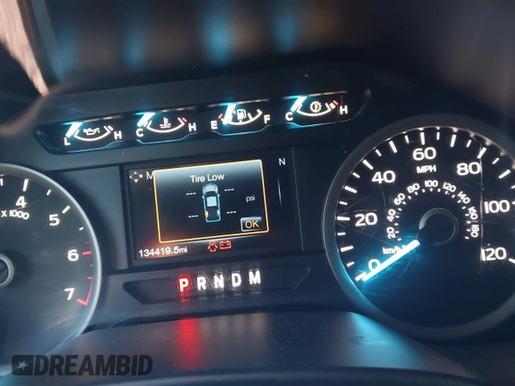 2019 Ford F-150 XL with VIN 1FTEW1CP5KKC67435, listed as a IAAI auction lot 41143282 with 134,419 mi miles and . Bid and sale history available at DreamBid. Image 7.