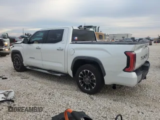2022 Toyota Tundra Limited with VIN 5TFJA5ABXNX009687, listed as a Copart auction lot 83356634 with 19,110 mi miles and Salvage title. Bid and sale history available at DreamBid. Image 2.