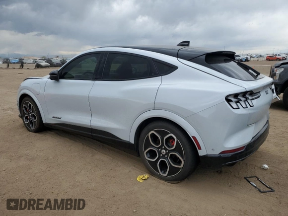 2022 Ford Mustang Mach-E GT with VIN 3FMTK4SE3NMA60295, listed as a Copart auction lot 55287195 with 18,836 mi miles and Salvage title. Bid and sale history available at DreamBid. Image 2.