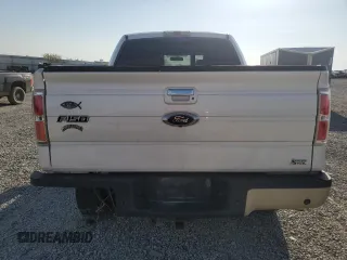 2010 Ford F-150 XL with VIN 1FTFW1EVXAFC09778, listed as a Copart auction lot 53793085 with 234,053 mi miles and Salvage title. Bid and sale history available at DreamBid. Image 6.