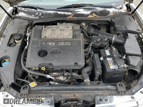 2005 Nissan Maxima 3.5 SE with VIN 1N4BA41E55C854095, listed as a Copart auction lot 88979135 with 232,923 mi miles and Clean Title. Bid and sale history available at carsss.com. Image 11.