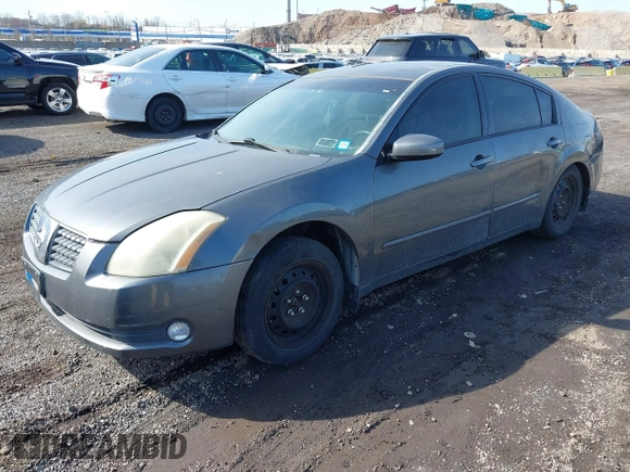 2006 Nissan Maxima 3.5 SL with VIN 1N4BA41E96C822266, listed as a IAAI auction lot 41903492 with 116,886 mi miles. Bid and sale history available at carsss.com. Image 2.