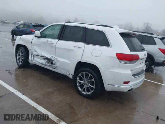 2019 Jeep Grand Cherokee Summit with VIN 1C4RJFJG5KC549097, listed as a IAAI auction lot 41466399 with 44,521 mi miles. Bid and sale history available at carsss.com. Image 3.
