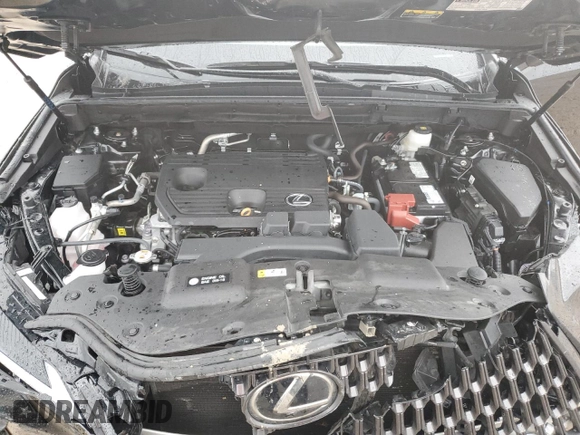 2024 Lexus NX 250 Premium с VIN 2T2GDCAZ8RC014499, выставлен на аукционе Copart как лот 44348375 с пробегом 17 227 миль миль и Списание • Salvage title. История ставок и продаж доступна на DreamBid. Изображение 12.