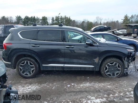 2022 Hyundai Santa Fe Limited with VIN 5NMS4DALXNH419090, listed as a IAAI auction lot 41545294 with 15,402 mi miles. Bid and sale history available at carsss.com. Image 13.
