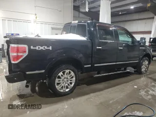 2009 Ford F-150 XL with VIN 1FTPW14V09FA36869, listed as a Copart auction lot 89056925 with 247,997 mi miles and Salvage Title. Bid and sale history available at carsss.com. Image 3.