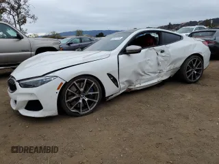 2019 BMW 8 Series M850i xDrive with VIN WBABC4C54KBJ35615, listed as a Copart auction lot 81431744 with 0 mi miles and Salvage Title. Bid and sale history available at carsss.com. Image 1.