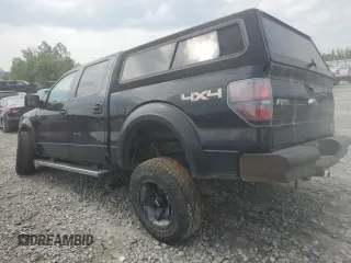 2011 Ford F-150 XL with VIN 1FTFW1EFXBFD41577, listed as a Copart auction lot 58650365 with 306,165 mi miles and Salvage title. Bid and sale history available at DreamBid. Image 2.