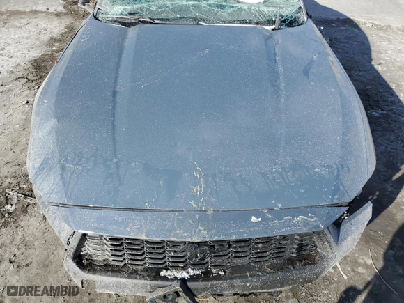 2024 Ford Mustang EcoBoost with VIN 1FA6P8TH6R5110367, listed as a Copart auction lot 41497465 with 0 mi miles and Salvage Title. Bid and sale history available at carsss.com. Image 11.