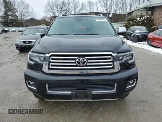 2018 Toyota Sequoia Platinum with VIN 5TDDY5G10JS161307, listed as a Copart auction lot 40646674 with 46,751 mi miles. Bid and sale history available at carsss.com. Image 5.