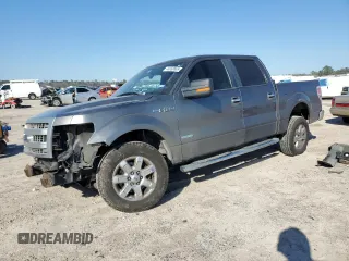 2014 Ford F-150 XL with VIN 1FTFW1CTXEKD30308, listed as a Copart auction lot 46358665 with 217,885 mi miles and Salvage Title. Bid and sale history available at DreamBid. Image 1.