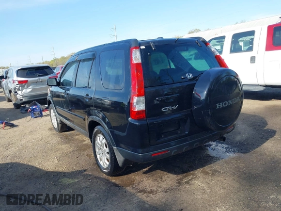2005 Honda CR-V EX SE with VIN SHSRD78965U301283, listed as a IAAI auction lot 42059823 with 316,013 mi miles. Bid and sale history available at carsss.com. Image 3.