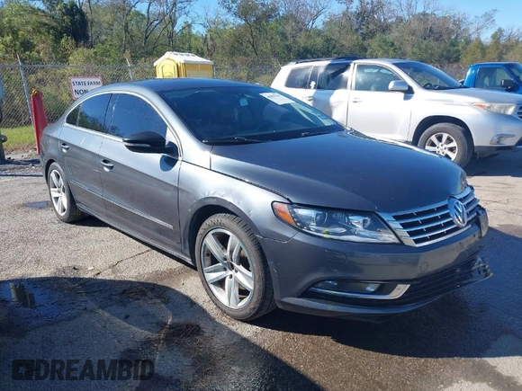 2014 Volkswagen CC R-Line with VIN WVWBN7AN1EE518173, listed as a IAAI auction lot 40895187 with 133,960 mi miles. Bid and sale history available at carsss.com. Image 1.