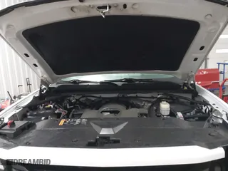 2017 Chevrolet Silverado 1500 LT with VIN 1GCVKRECXHZ188539, listed as a IAAI auction lot 41502517 with 116,428 mi miles. Bid and sale history available at carsss.com. Image 10.