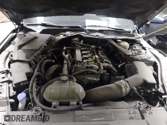2021 Ford Mustang EcoBoost with VIN 1FA6P8TH0M5110017, listed as a IAAI auction lot 41949095 with 50,321 mi miles and . Bid and sale history available at DreamBid. Image 10.