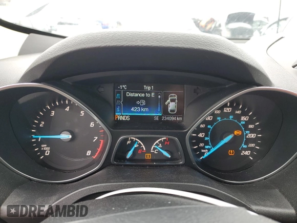 2016 Ford Escape SE with VIN 1FMCU9GX3GUB01301, listed as a Copart auction lot 46680005 with 234,094 mi miles and Salvage Title. Bid and sale history available at carsss.com. Image 9.