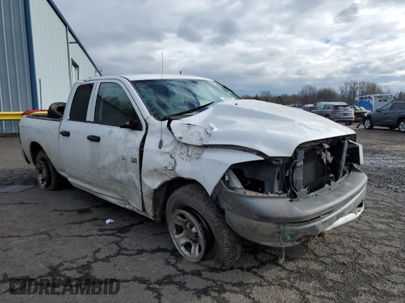 2010 Dodge 1500 ST with VIN 1D7RB1GK4AS126579, listed as a Copart auction lot 44359815 with Not Provided miles and Salvage Title. Bid and sale history available at DreamBid. Image 4.