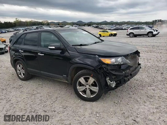2012 Kia Sorento EX with VIN 5XYKUCA66CG209310, listed as a Copart auction lot 51560435 with 110,922 mi miles and Salvage title. Bid and sale history available at DreamBid. Image 12.