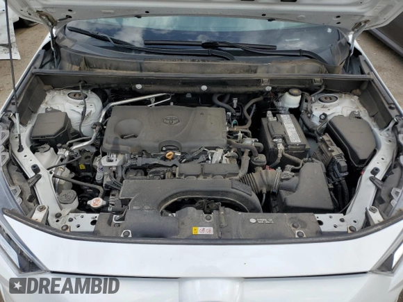 2019 Toyota RAV4 XLE with VIN 2T3W1RFVXKW043919, listed as a Copart auction lot 52998715 with 55,593 mi miles and Salvage Title. Bid and sale history available at carsss.com. Image 12.