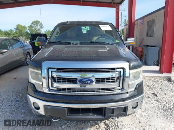 2014 Ford F-150 XL with VIN 1FTFW1ET2EFC86567, listed as a IAAI auction lot 41846669 with 255,942 mi miles. Bid and sale history available at carsss.com. Image 12.