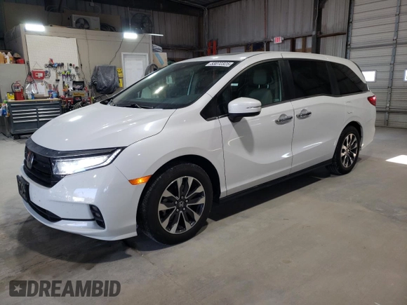 2024 Honda Odyssey EX-L with VIN 5FNRL6H68RB005052, listed as a Copart auction lot 53072325 with 34,758 mi miles and Salvage Title. Bid and sale history available at DreamBid. Image 1.