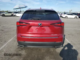 2020 Lexus NX 300 with VIN JTJAARBZXL5001159, listed as a Copart auction lot 50264585 with 49,024 mi miles and Salvage title. Bid and sale history available at DreamBid. Image 6.