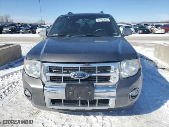 2009 Ford Escape Limited with VIN 1FMCU04769KB22223, listed as a Copart auction lot 46151335 with 191,329 mi miles and Salvage Title. Bid and sale history available at carsss.com. Image 5.
