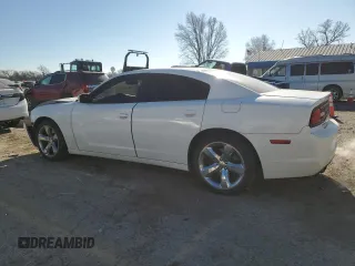 2014 Dodge Charger Police with VIN 2C3CDXAG8EH289481, listed as a Copart auction lot 86189534 with 179,755 mi miles and Salvage Title. Bid and sale history available at DreamBid. Image 2.