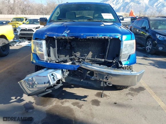 2010 Ford F-150 XL with VIN 1FTEW1E87AFB51697, listed as a IAAI auction lot 41454088 with 171,787 mi miles. Bid and sale history available at carsss.com. Image 6.