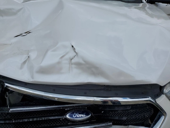 2013 Ford Taurus Limited с VIN 1FAHP2F89DG226774, выставлен на аукционе Copart как лот 57250415 с пробегом 233 149 миль миль и Списание • Salvage title. История ставок и продаж доступна на DreamBid. Изображение 11.