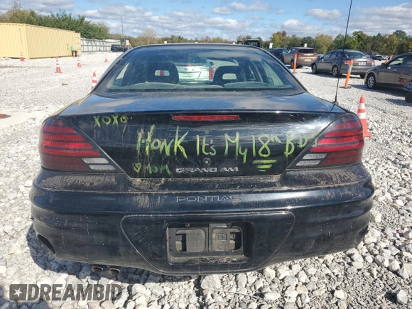 1999 Pontiac Grand Am SE2 with VIN 1G2NE52E2XM732523, listed as a Copart auction lot 75420684 with 124,110 mi miles and Salvage Title. Bid and sale history available at carsss.com. Image 6.