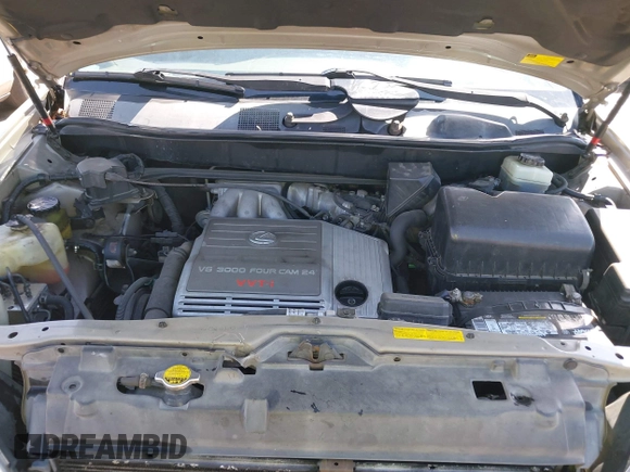 2001 Lexus RX 300 with VIN JTJGF10U410088393, listed as a IAAI auction lot 41864872 with 212,728 mi miles and . Bid and sale history available at DreamBid. Image 10.