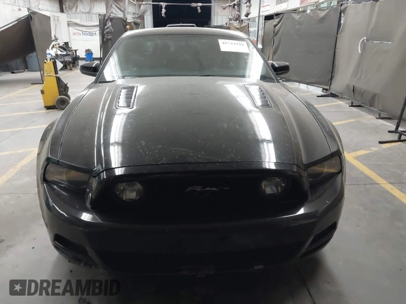 2014 Ford Mustang GT z VIN 1ZVBP8CFXE5257404, wystawiony jako IAAI lot #42731944 z przebiegiem 308 695 mil mil oraz . Historia ofert i sprzedaży dostępna na DreamBid. Obrazek 12.